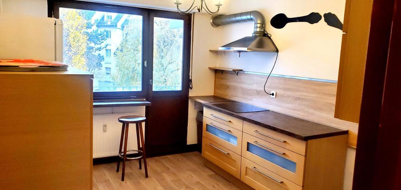 Le Hameau Du Bouleau Apartment Страсбург Екстериор снимка